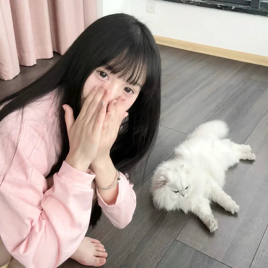 好莱坞医生